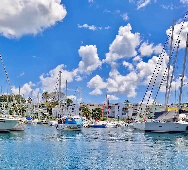 Sublime Appartement Pour 4Pers - Clim - Vue Mer - Parking Les Trois-Ilets Apartament